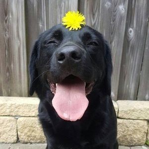 Meet your Posher, Ali